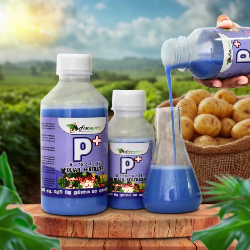 p+ P Plus liquid